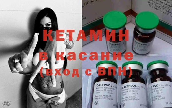 прущие грибы Михайлов